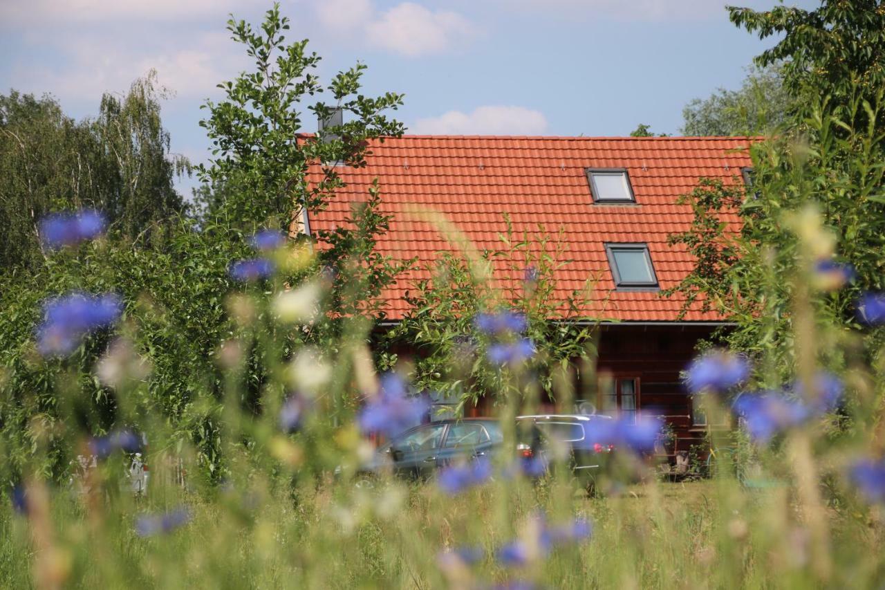 Liljas Haus Im Spreewald Apartment Burg  Exterior photo
